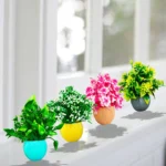 Colorful Decorative Indoor Plants