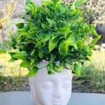 Creative Face Planter Pot with Artificial Green Plant